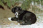 Click here to see larger image